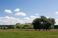 Fraai Frans landschap tussen Flabas en Montmédy
