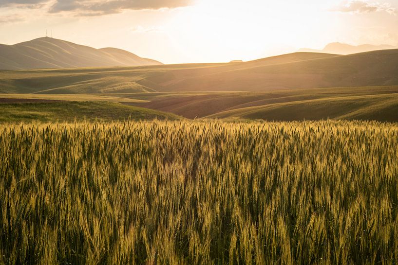 Golden sunset by Jeroen Kleiberg