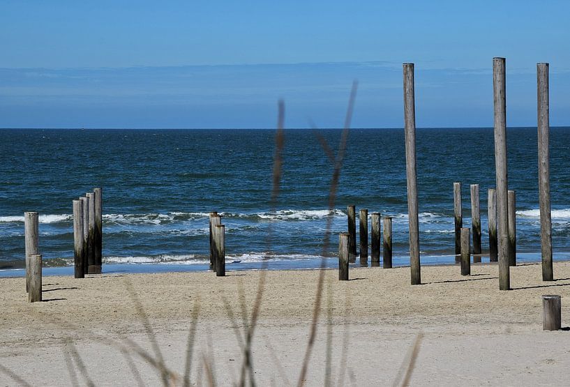 Piles du village de palmiers à Petten aan Zee. par Corine Dekker
