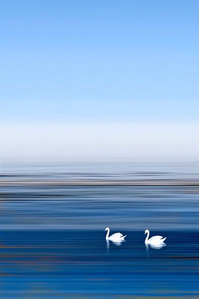 Swan River by Michael Krawietz