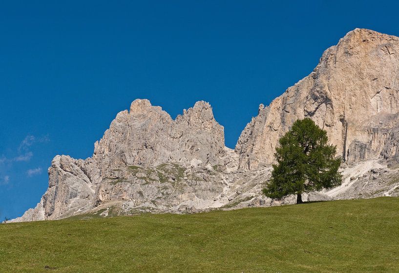 Arbre solitaire dans les Dolomites par Rene van der Meer