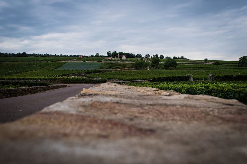 The wall to the vineyard by Onno van Kuik
