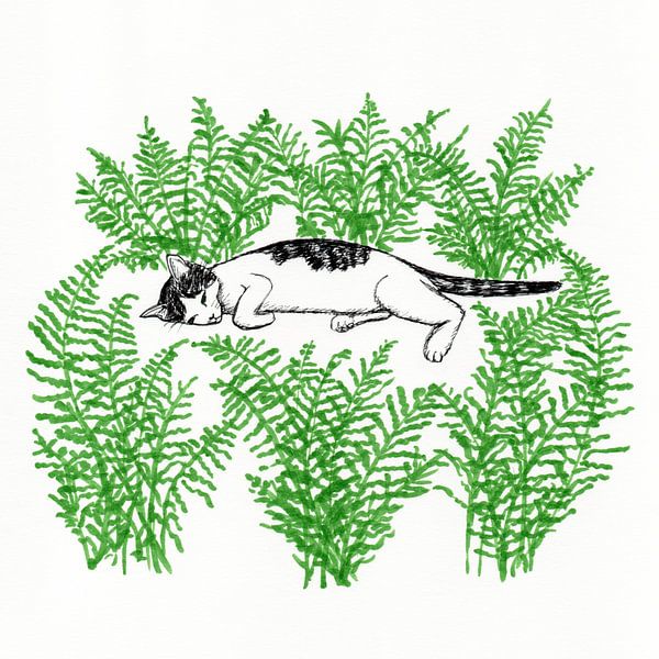 Träume von den Wäldern der Vergangenheit von Karolina Grenczyk