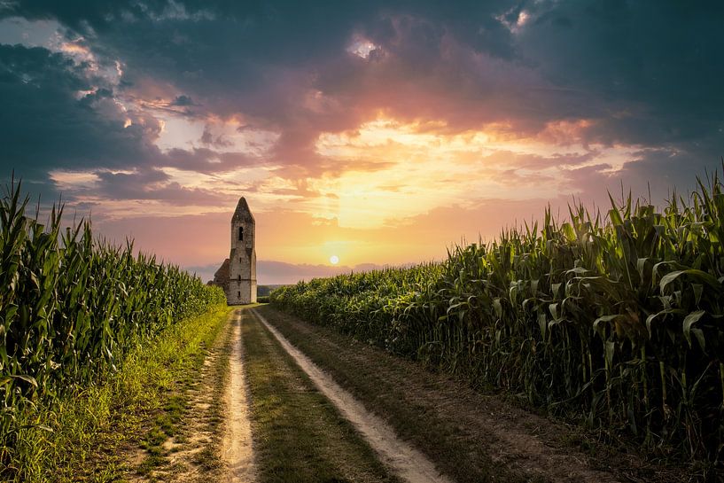Pusztatorony au lac Balaton Eglise ou ruine au milieu d'un champ de maïs au coucher du soleil par Fotos by Jan Wehnert