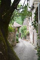 Smal straatje in Penne 