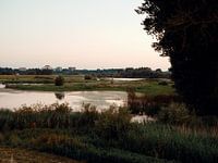 Ooijpolder in evening light