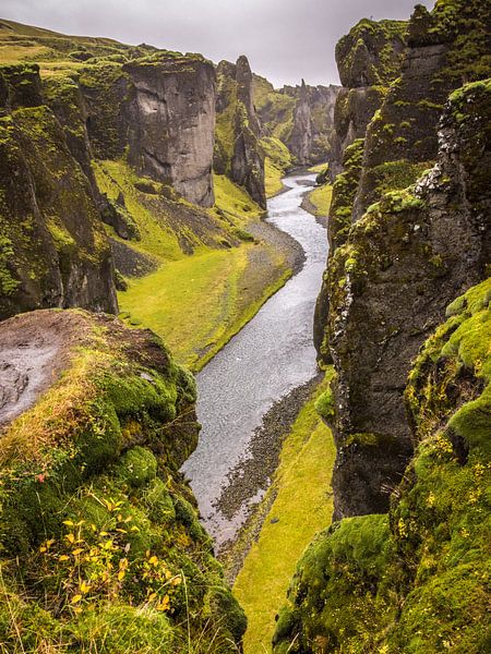 Fjaðrárgljúfur Gorge Iceland by Samantha Schoenmakers