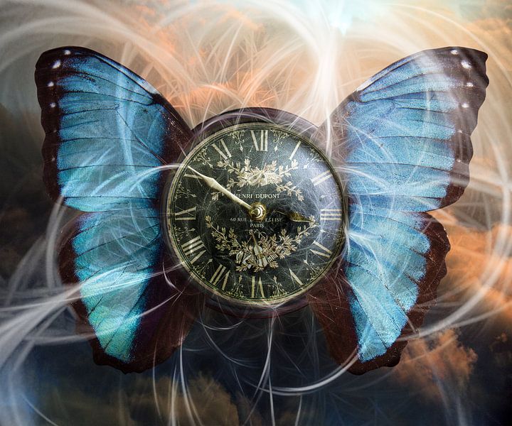 Time and movement - H. Fischer by mimone art