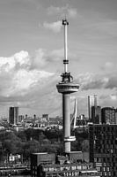 Euromast und Erasmusbrücke