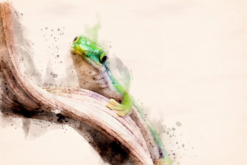 Green gecko (watercolor edit) by Gig-Pic by Sander van den Berg