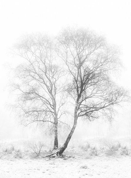 Petit matin froid par Greetje van Son