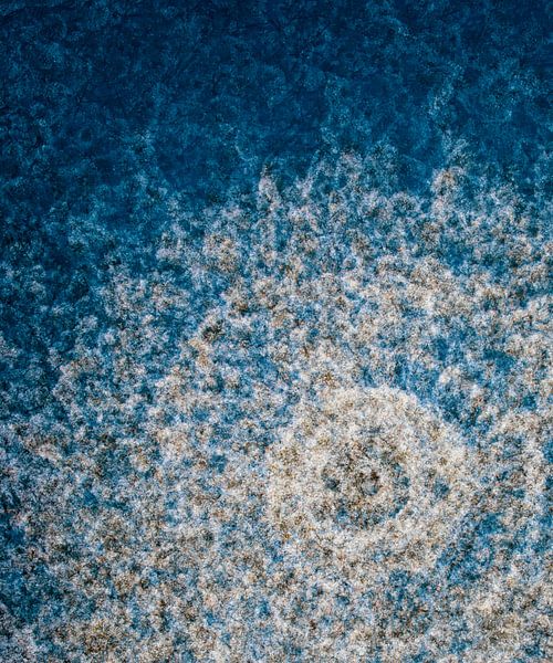 Energie des Frühlings von Daniela Beyer