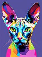 Sphynx Katze Pop Art 2