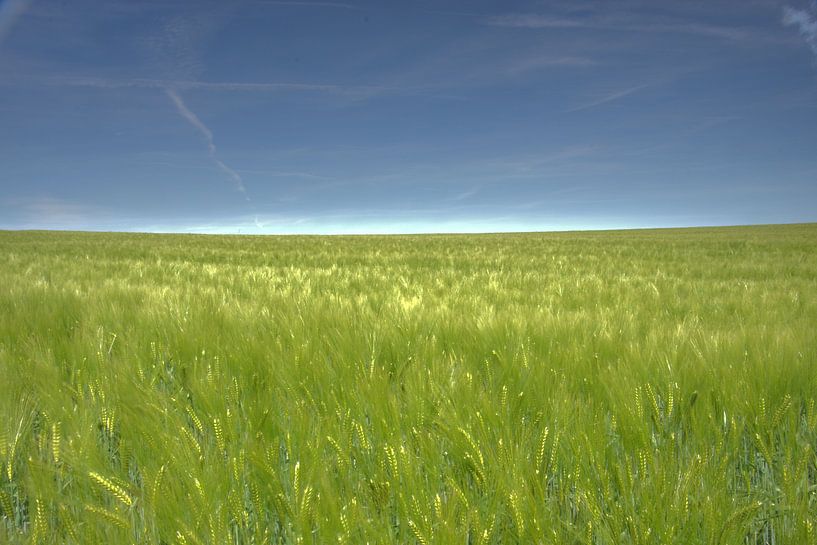 Grain landscape by Edzo Boven