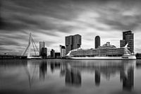  Harmony of the Seas ( Rotterdam B/W )  