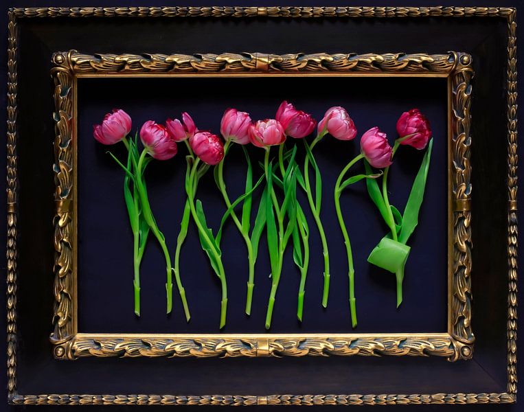 Still life with tulips by Thomas Jäger