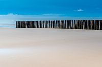 Wooden poles on the beach
