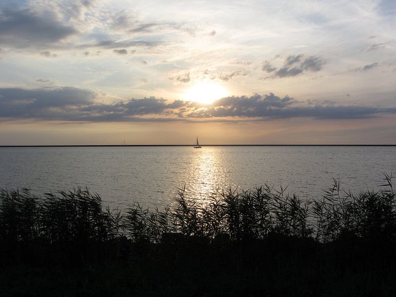 Lonely Sailboat von Nicky`s Prints