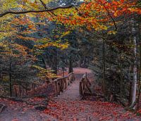 Pont en bois au milieu des belles couleurs d'automne dans la forêt