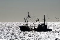 Fischereifahrzeug Scheveningen (schwarz-weiß)