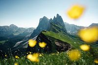 Seceda Mountain View Dolomites