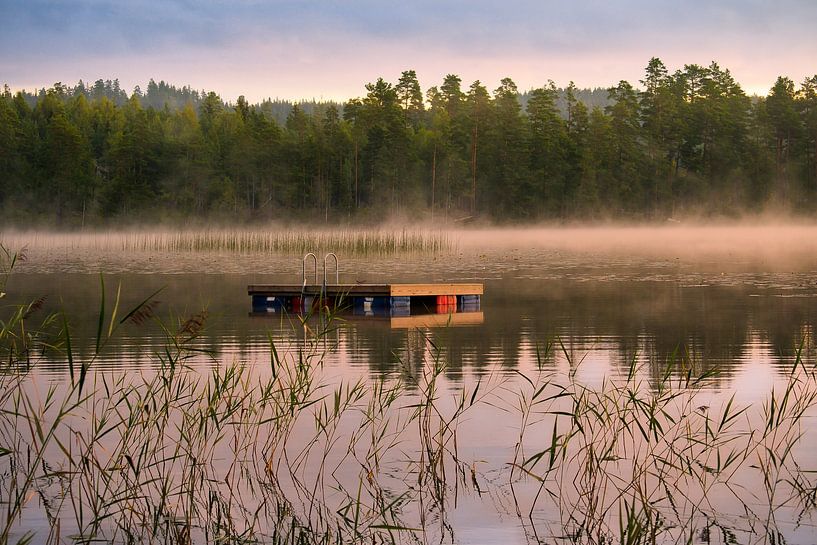 Schwimminsel in einem schwedischen See von Martin Köbsch