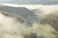 Die Sonne geht durch den Nebel auf