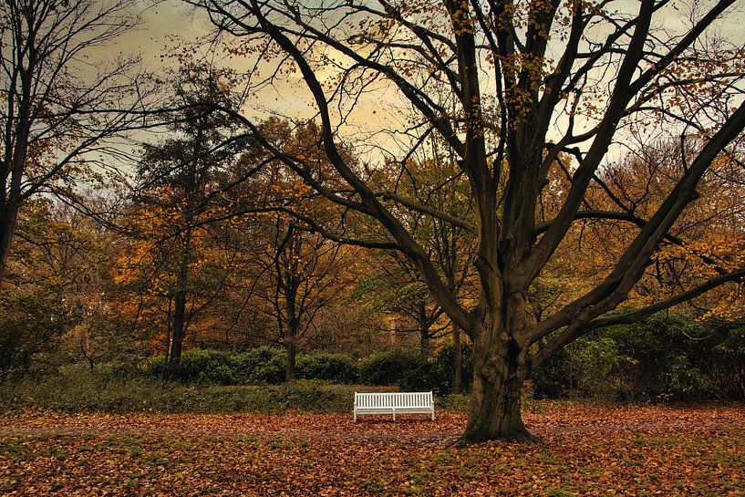 Profiter de l'automne par Stefan Verheij