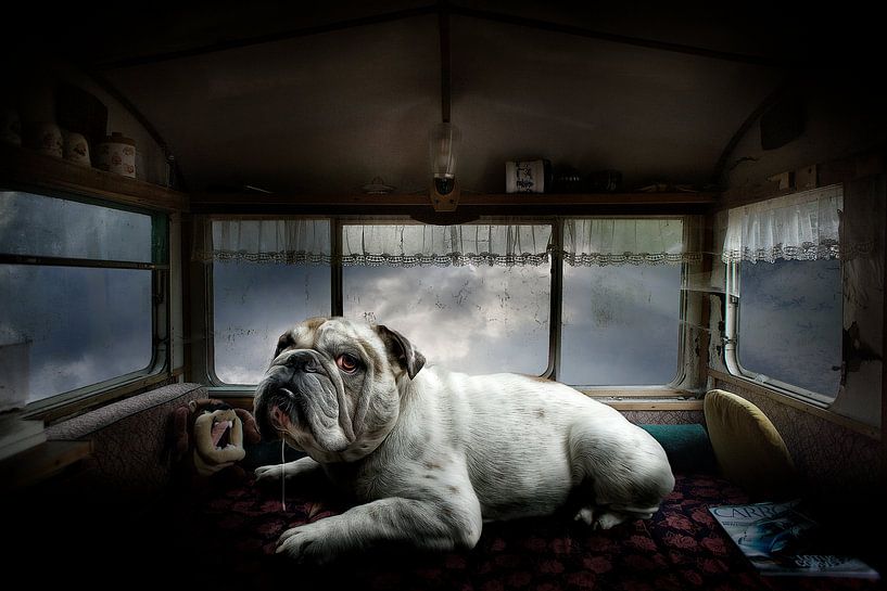 Lost Camping by Juliën van de Hoef