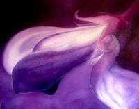 Purple/black - Purple Black