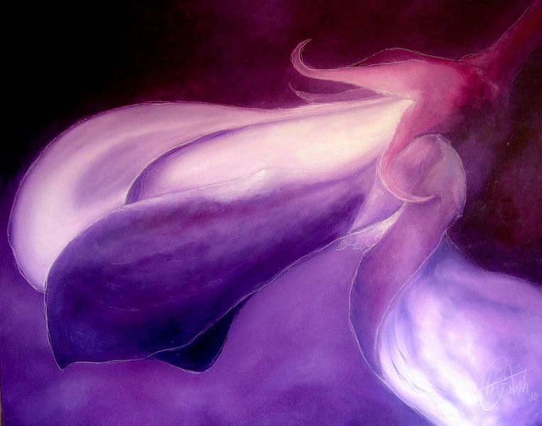 Lila/Schwarz - Lila Schwarz von Christoph Van Daele