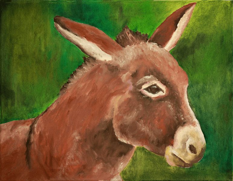 Donkey by Andrea Meyer