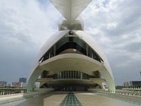 Symmetrische schoonheid