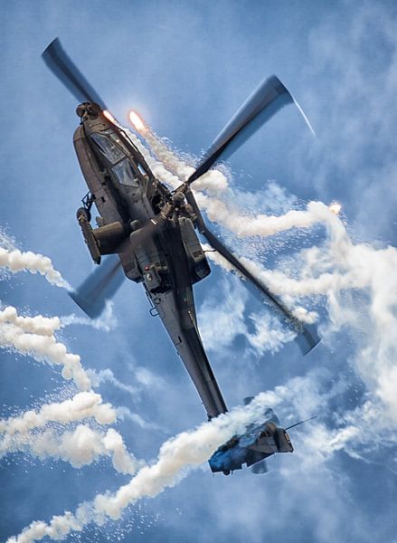 Dutchie by Nildo Scoop