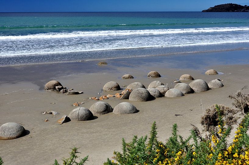 Die Moeraki Boulders, Schätze Neuseelands von Frank Photos