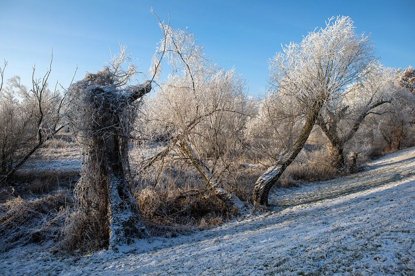 Verschneite Landschaft hinter dem Deich von t.ART