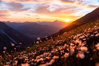flowery sunrise over Kleinwalsertal valley