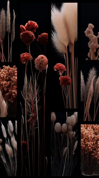 Vibrant Elegant Grass and Golden Plumes Radiate in the Sunlight by Karina Brouwer