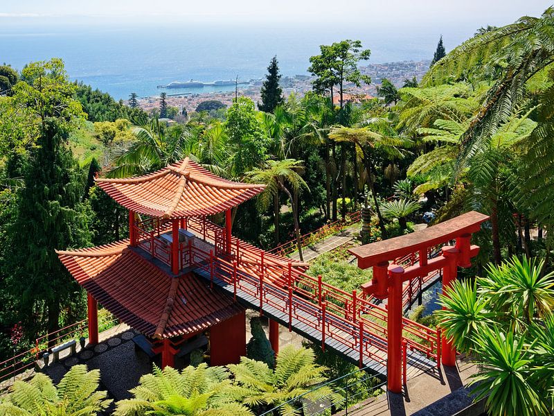 Monte Palace Madeira Tropical Garden mit Blick auf Funchal von Gisela Scheffbuch