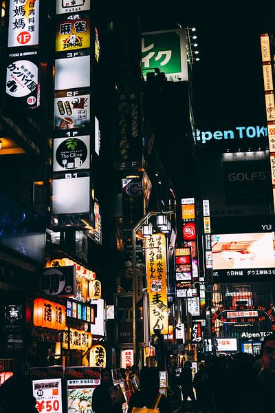 Shinjuku by Night : La jungle de néons de Tokyo par Ken Tempelers