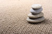 mini jardin zen japonais