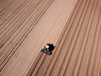 Aussaat für eine neue Ernte II