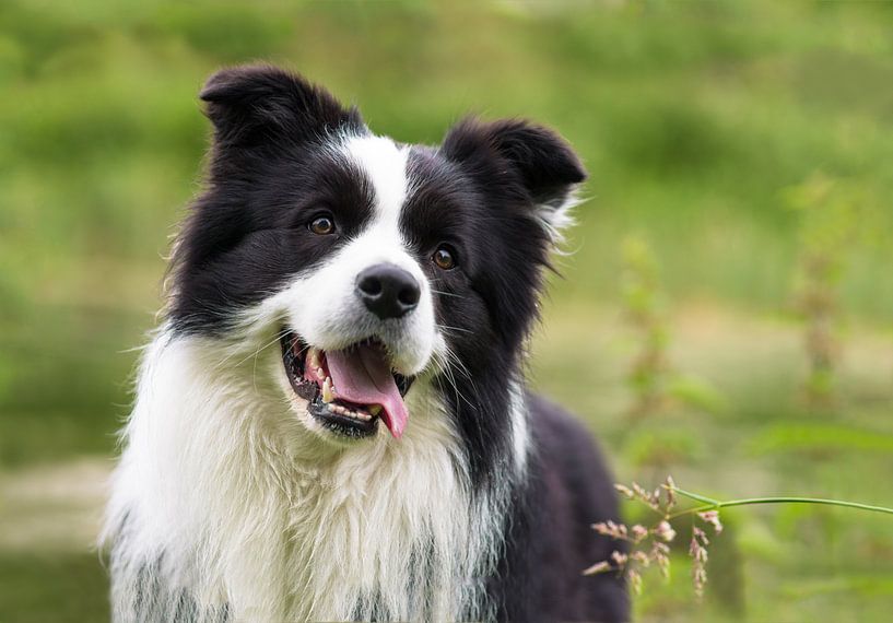 Achtung von Karen Havenaar