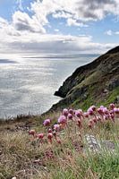 De ruige Ierse kust bij Dublin