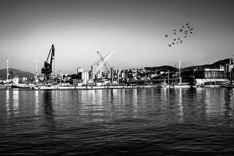 CROATIA : BIRDS FLY by Photoart-Naegele