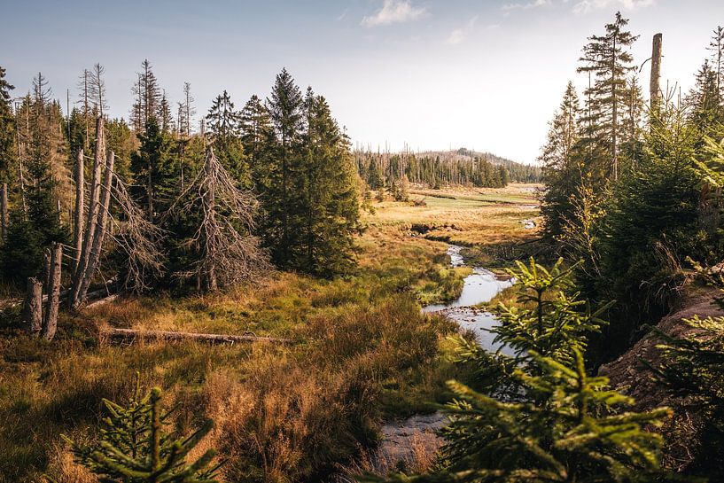 Wild and romantic Oder pond by Oliver Henze