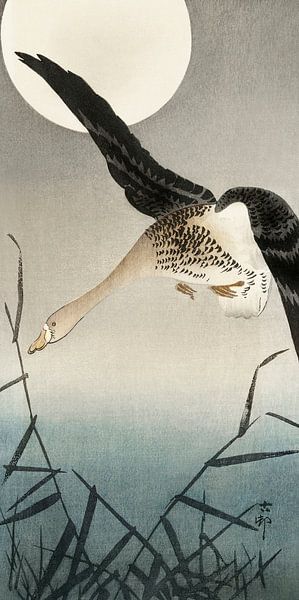 Weißwangengans bei Vollmond (1900 - 1930) von Ohara Koson von Studio POPPY