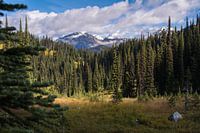 Canadian landscape, blue skye, mountains, forest