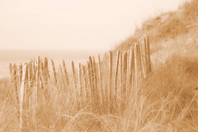 am Strand von Bernadette Struijk