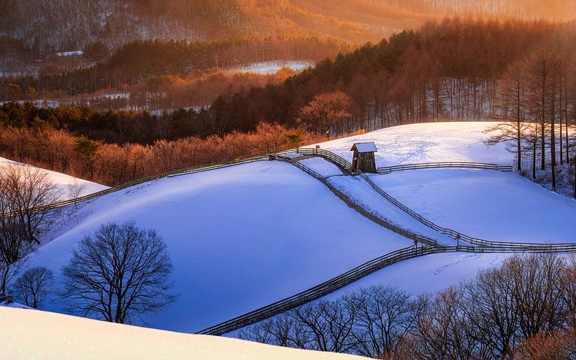 Sonnenuntergang auf einem verschneiten Hügel von Tiger Seo